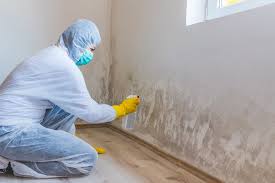 Best Attic Mold Removal  in Crozet, VA